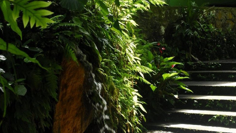 Papillote Tropical Gardens, Near Wotten Waven, Dominica